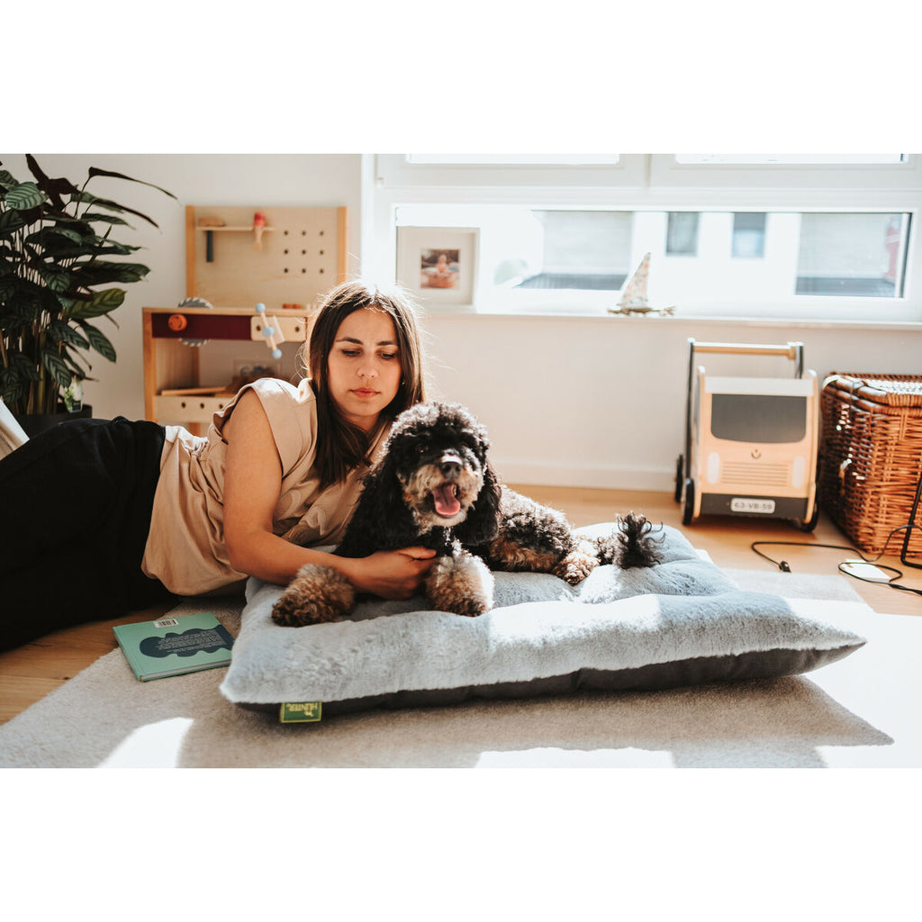 V5HF4EB60DA918167FE7A8C6B53EC2031FDR5574603P6